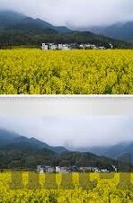 埃及和南非足球比分-埃及VS南非，一场跨越沙漠与海洋的足球对决比分深度解析