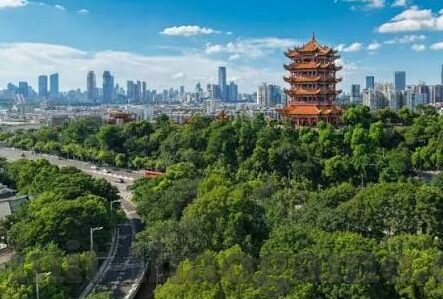 今晚足球比分结果-今夜绿茵烽火，一场跌宕起伏的足球盛宴与比分背后的故事